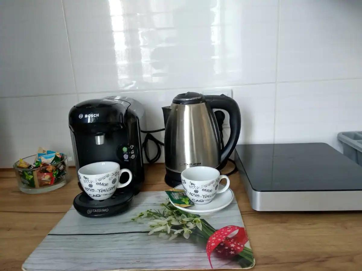 פז'מיסל Apartament Przy Synagodze מראה חיצוני תמונה